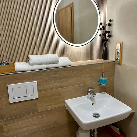 Golden Wood Apartment Plzen