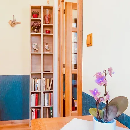 Golden Wood Apartment *